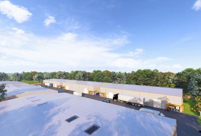 Hale Industriale de Vânzare în Afumați – Locație Premium în Centru Logistic! - 6