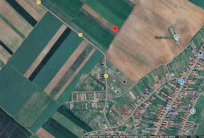 Teren de 33800 mp, în Pișchia - 2
