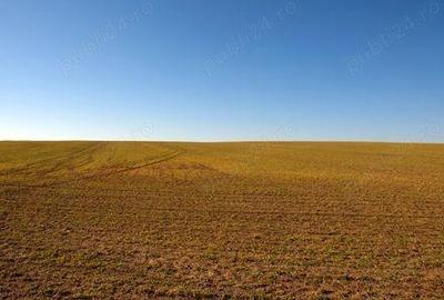 Teren de 1270000 mp, în Central - 1