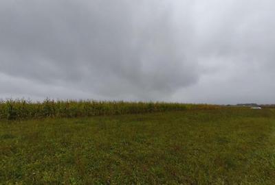 Teren intravilan, 5200mp, front 27ml, Fratautii Vechi, Radau - 1