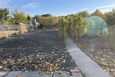 Teren ideal pentru constructie noua-800 mp cu front 22 ml - 3