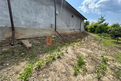 Casa tip parter zona Magura - 18