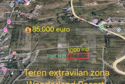 Teren de 1000 mp, în Bună Ziua