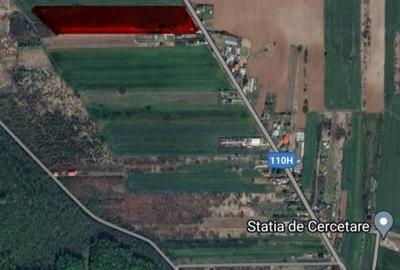 Teren de vanzare in Silistea Snagovului - 13.800 mp. - 5