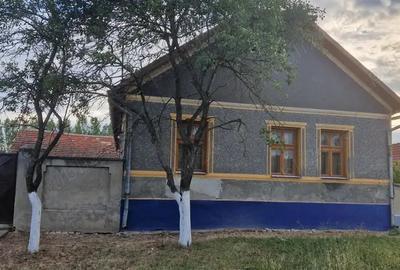 Vand casa cu gradina - 1