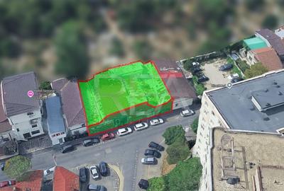 DOAR 350000 euro!!! Lifetime Opportunity-TEIUL DOAMNEI - 10