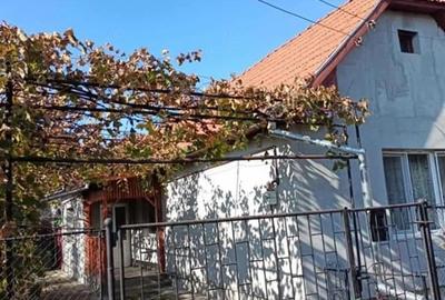 Casă cu Teren 270 Mp în Central - 5