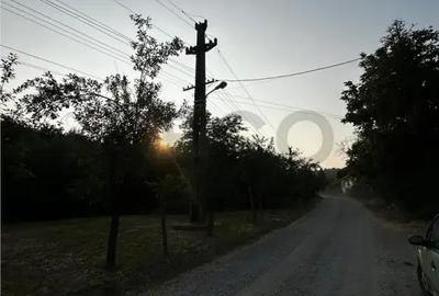 Teren de 8200 mp, în Podgoria - 4