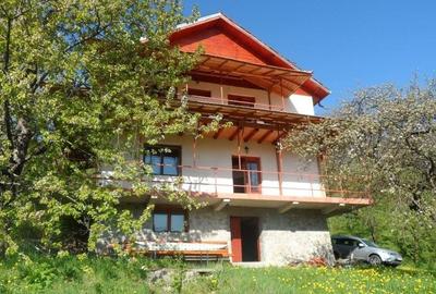 Vila deosebita cu 7 camere si 5 bai, 4290 mp teren, vedere panoramica  Valea Do - 1