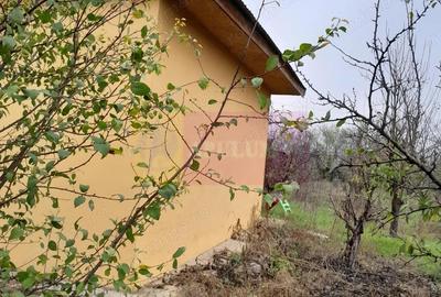 Casă cu 3 camere cu Teren 15000 Mp în Bărcănești - 2