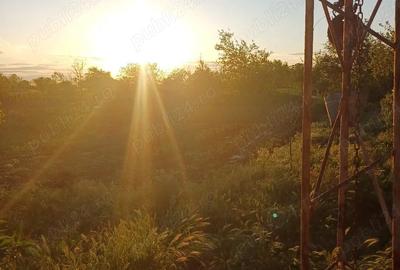 Casă în Smârdan - 3