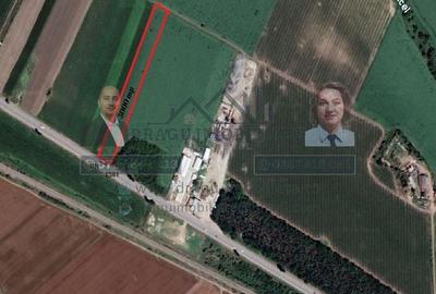 Teren 5000 mp, ieșire din Tecuci, după Peco Gălbenuș - 4