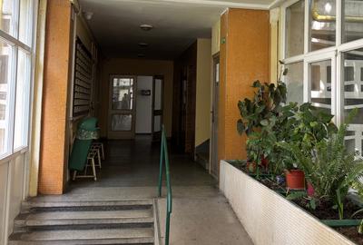 MOSILOR/FERDINAND,garsoniera superba,mobilata si utilata complet,totul nou,liber MOSILOR/FERDINAND,garsoniera superba,mobilata si utilata complet,totul nou,liber - 3