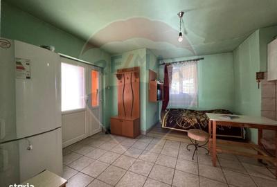 Casă cu 2 camere cu Teren 1172 Mp în Bodrogu Nou - 1