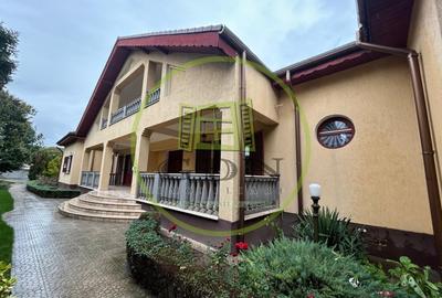 Casă individuală cu 12 camere cu Piscina în Bariera Vâlcii - 15