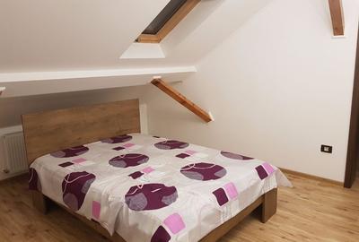 Casă cu 5 camere cu Teren 600 Mp în Ultracentral - 9