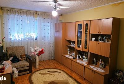 Apartament cu 2 camere decomandat, mobilat în Siderurgiștilor - 5