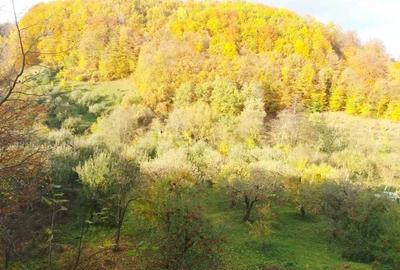 Casa parter+nivel Voinesti - 3