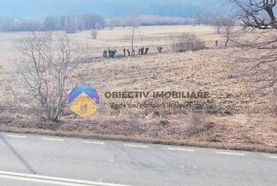 Teren de 3035 mp, în Bodești - 2