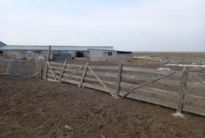 Teren de 9144 mp, în Vădeni - 7
