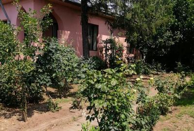 Casa spa?ioasa in Pogoanele, jude?ul Buzau