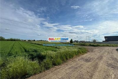 Teren intravilan 1622mp, Lidl Berceni, Utilitati Gaz Electric, 50E mp Teren intravilan 1622mp, Lidl Berceni, Utilitati Gaz Electric, 50E mp - 8