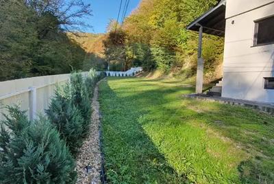 Proprietate exclusivista in Baia Mare - Valea Rosie, de vanzare - 2