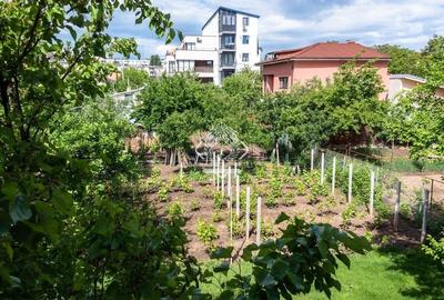 Casa P+1 + teren - posibilitate dezvoltare imobiliara I Drumul Taberei - 5