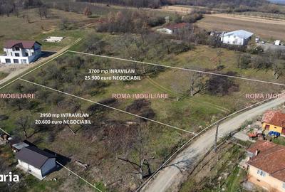 Teren de 6650 mp, în Remetea Chioarului - 9