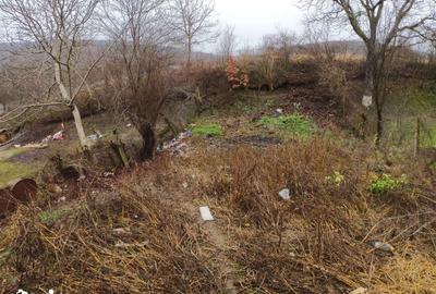 Casă cu 3 camere cu Teren 400 Mp în Apoldu de Jos - 8