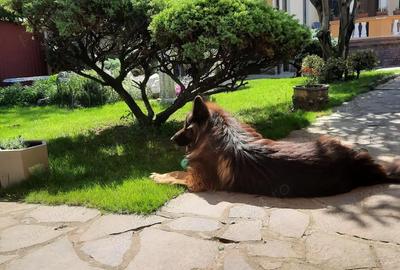 Casă cu 3 camere cu Teren 461 Mp în Central - 2