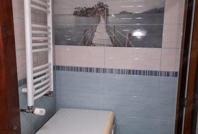 Garsoniera de inchiriat pe str Iuliu Maniu - 3