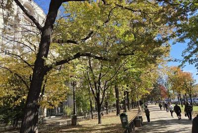 Apartament cu 2 camere decomandat în P-ța Unirii - 3