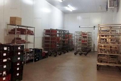 Spatiu industrial Bartolomeu/ Depozit frigorific - 5