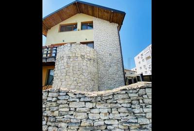 Casa de Straulesti Casa de Straulesti - 2