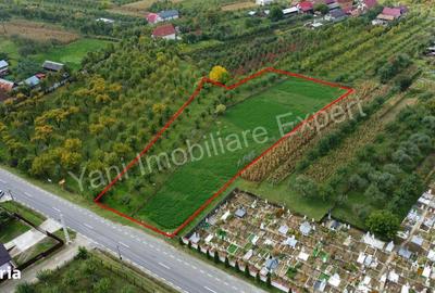 Teren de 2619 mp, în Corbeni - 9