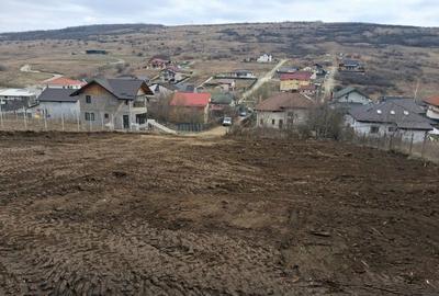 Spațiu comercial, în Aroneanu - 2