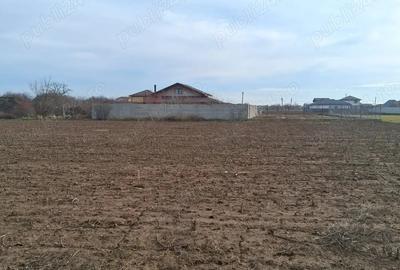 Teren de 631 mp, în Crevedia - 7
