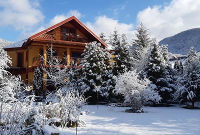 Casă cu 4 camere cu Teren 1000 Mp în Lepșa - 5