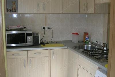 Garsonieră decomandată în Podgoria - 1