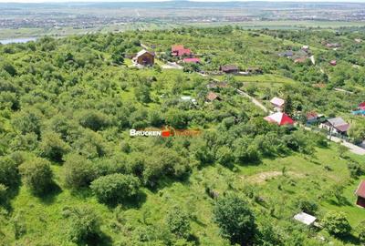 TEREN PENTRU CONSTRUCTIE REZIDENTIALA | 2878 MP | PODGORIA - 4