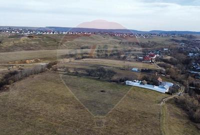 Teren de 2592 mp, în Lipoveni - 5