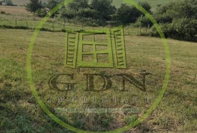 Teren agricol extravilan de 2000 mp, în Rusciori - 3