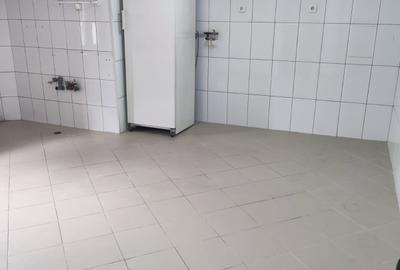 Vilă 5 camere, P+1+M curte proprie - 21