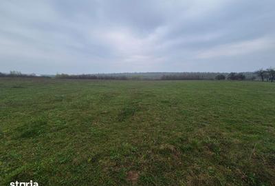 Teren de 10070 mp, în Mitocu Dragomirnei - 3