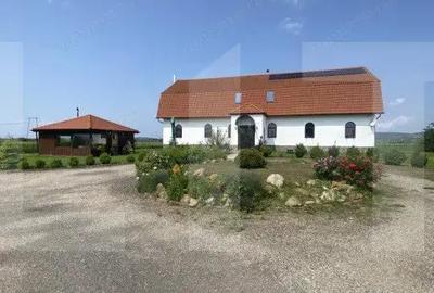 Conac de vanzare 7 camere, baie proprie, crama, ciubar ?i poten?ial - 2