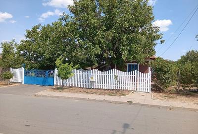 Casă cu 4 camere cu Teren 2041 Mp în Siminoc - 2