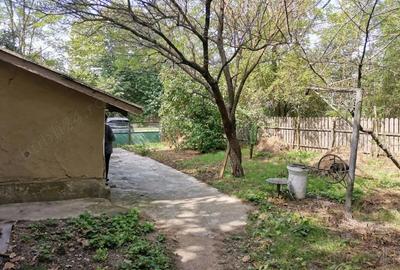 Casă cu 3 camere cu Teren 1400 Mp în Mihai Viteazu - 4