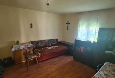 Casă cu 6 camere cu Teren 4200 Mp în Craiva - 4