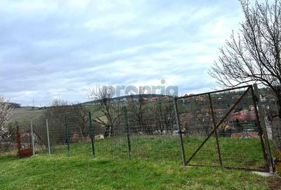 Casa 5 camere | Garaj, anexe | 1300 mp teren | Simeria Veche - 14